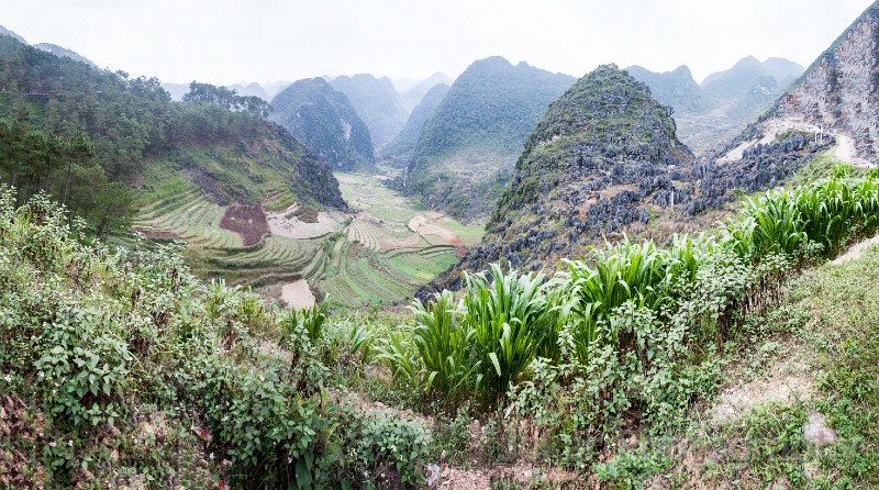 Vietnam Dong Van panorama-2.jpg - Ricefields near Dong Van